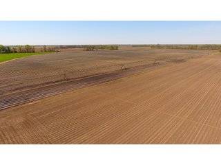 Property photo 31 - LAND AUCTION - 492+/- ACRES OFFERED IN 7 TRACTS IN SULLIVAN & KNOX COUNTIES, INDIANA